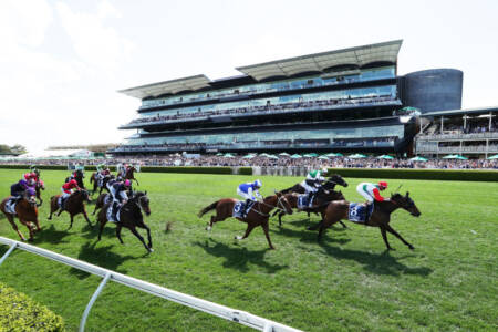Excitement builds ahead of The Everest at Randwick