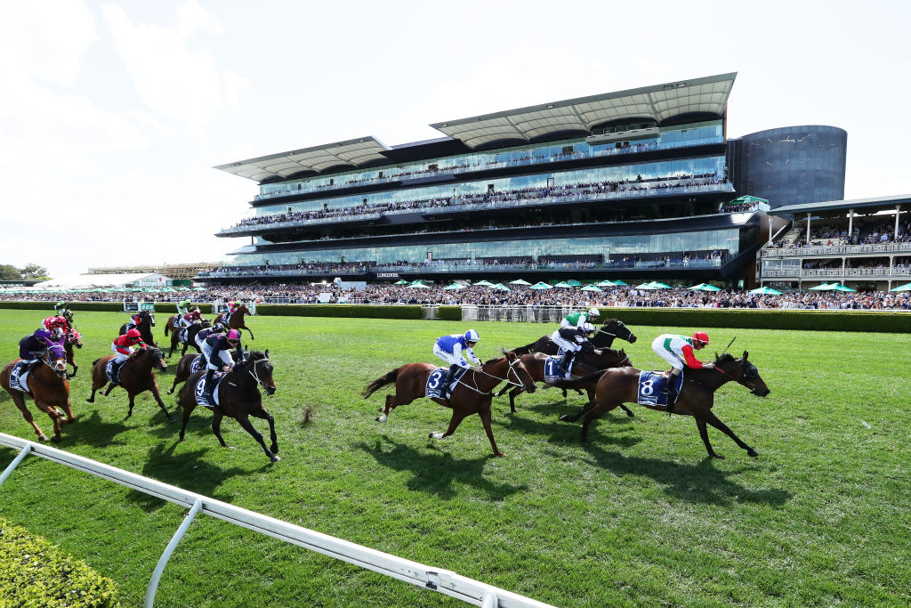 Article image for Excitement builds ahead of The Everest at Randwick