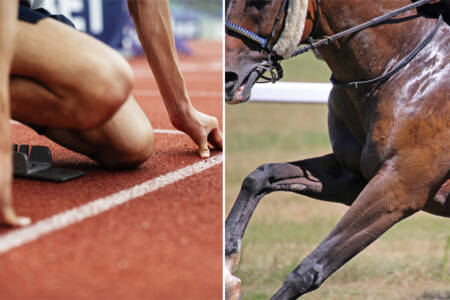 Manpower vs horsepower: Which species will claim Royal Randwick glory?