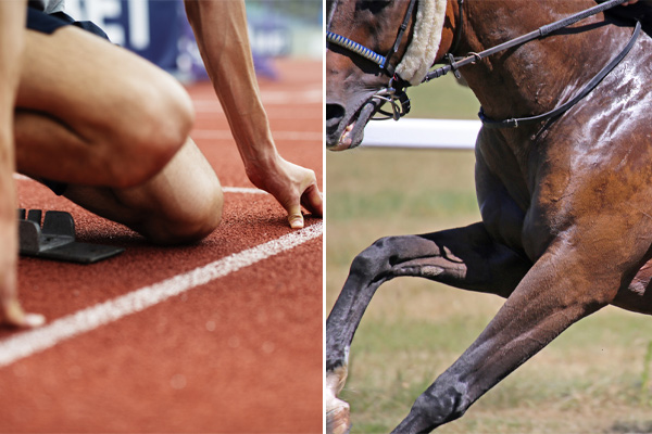 Article image for Manpower vs horsepower: Which species will claim Royal Randwick glory?