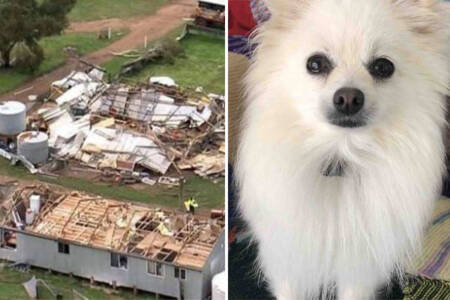 Family’s beloved dog miraculously survives being thrown from home by tornado