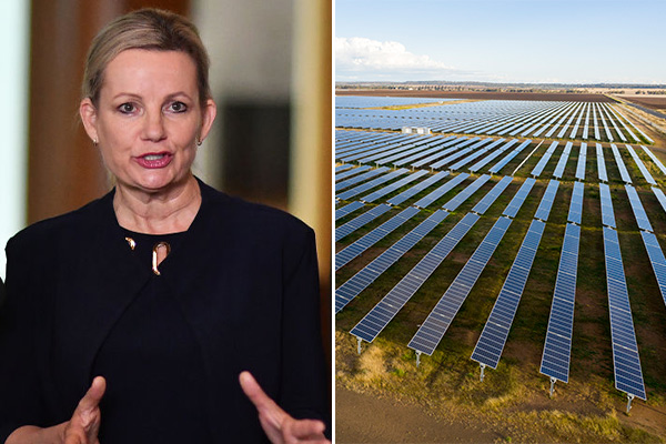Article image for ‘The dial has shifted’: Environment Minister defends the regions’ green credentials