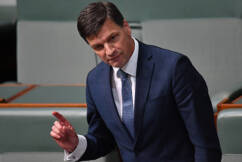 ‘Australians are better than this’: Energy Minister slams Labor ‘hacks’ criticising Jenny Morrison