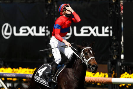 Verry Elleegant trainer Chris Waller choked up in wake of first Melbourne Cup win
