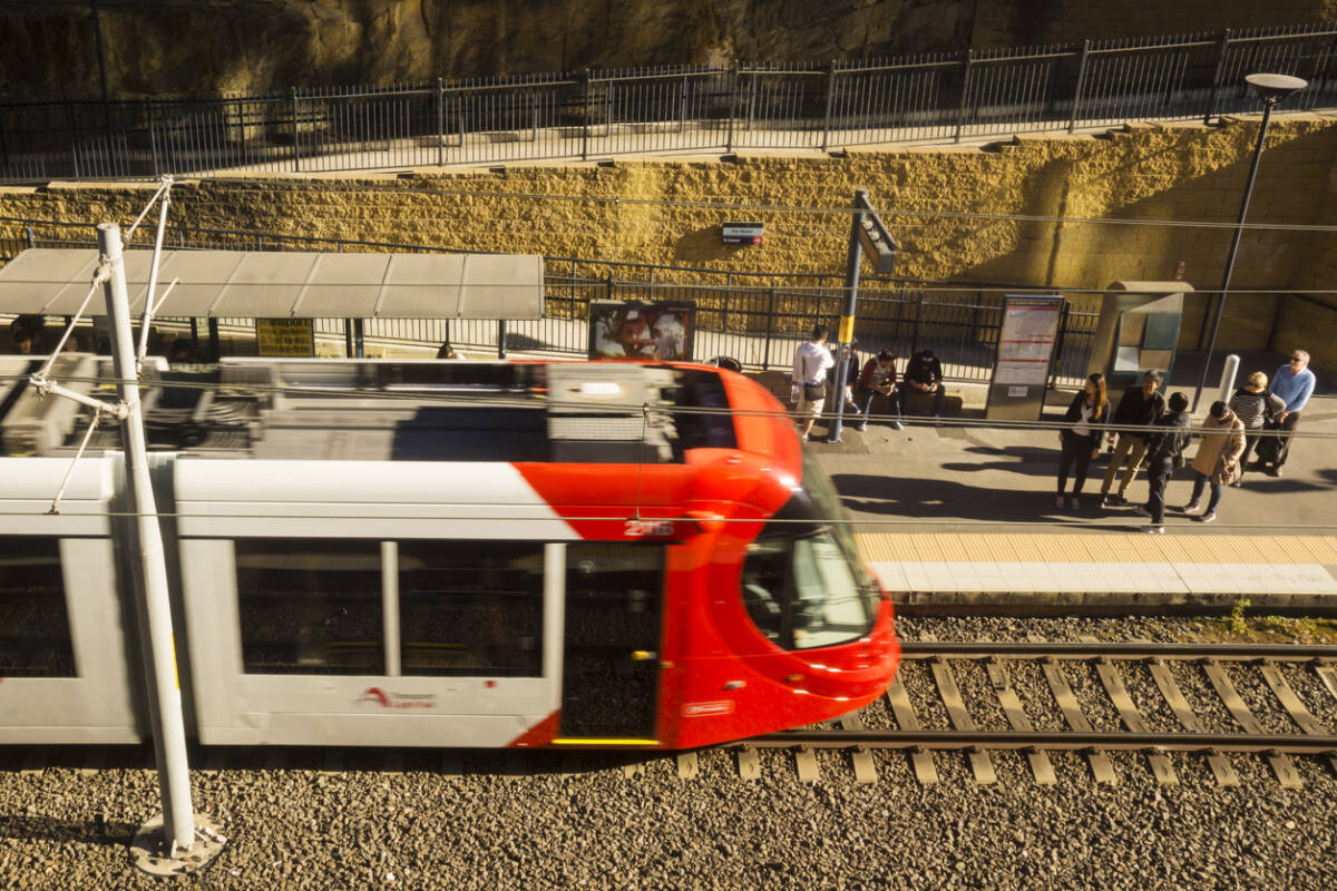 Article image for Transport backflips on swapping CBD light rail and cracked Inner West fleet
