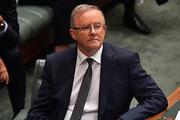 Article image for ‘Weak’ Anthony Albanese under fire over Labor’s opposition to migration