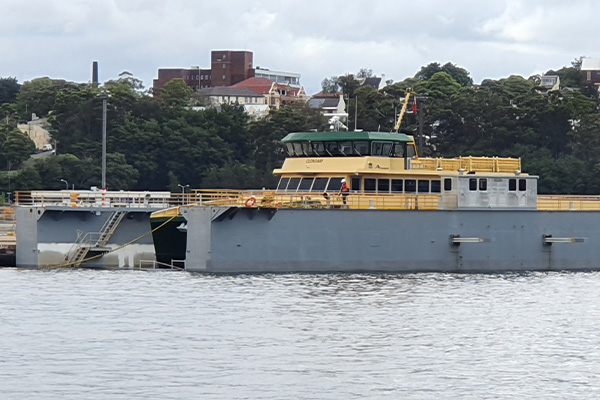 Article image for Emerald ferry horrors: Major review set after recent troubles