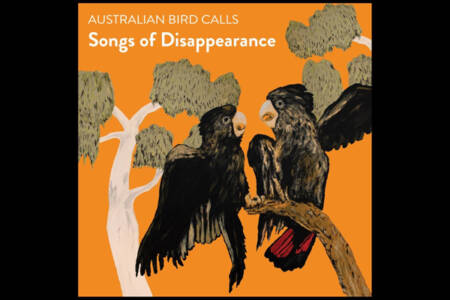 ‘Songs of Disappearance’: The soundtrack making a difference this Christmas