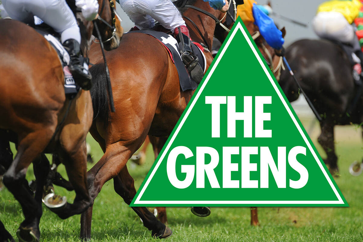 Article image for Greens slammed over ‘unconscionable’ policy that would ban horse racing in Australia