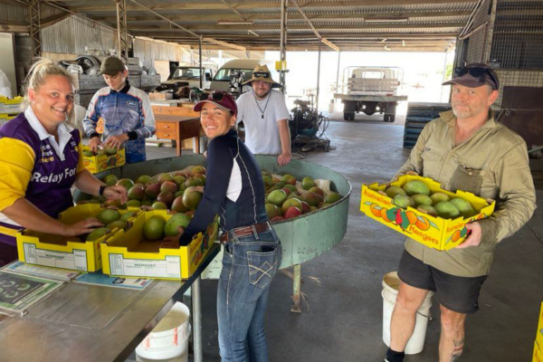image-supplied-bowen_police_packing_mangoes_for_good_cause