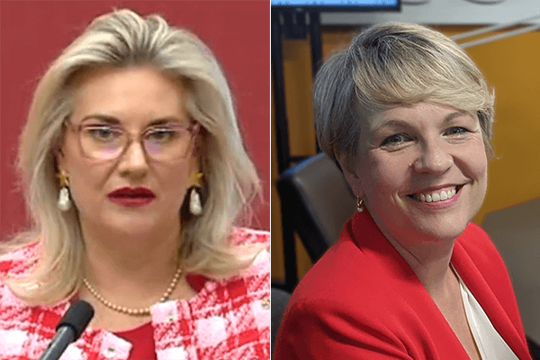 Article image for ‘Only for left women’: Hollie Hughes calls out Labor leader amid ‘disgusting’ comments