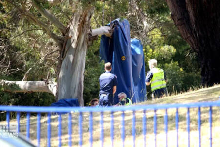 Four children dead in tragic accident at Tasmanian primary school