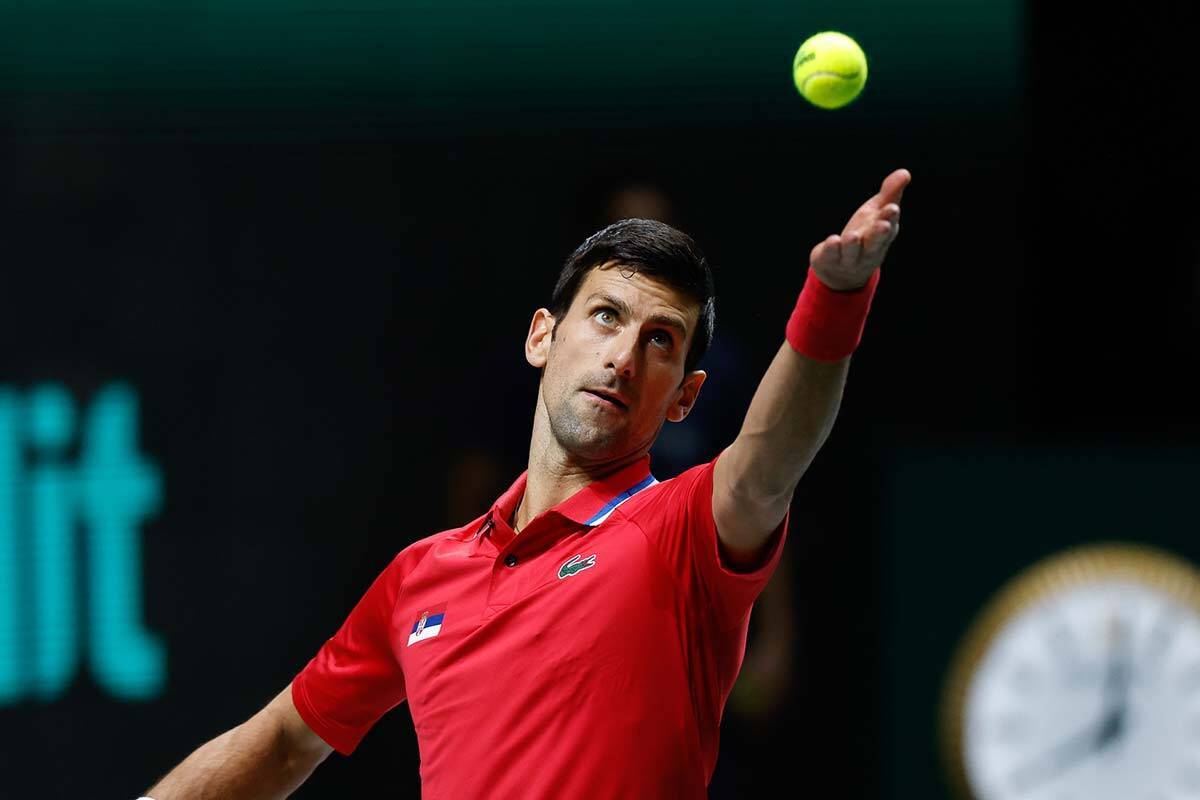 Article image for Tennis visa exemptions ‘terribly embarrassing’ as Djokovic awaits court decision
