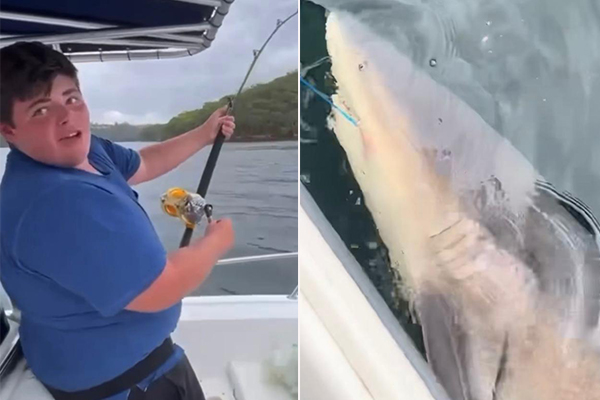 Article image for Massive shark caught by north shore teenager