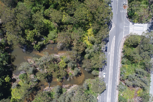 Article image for ‘I just don’t get it!’: Member for Mackellar furious at flood prone Wakehurst Parkway