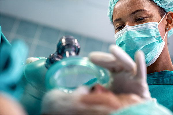 Article image for Why women are baffling anaesthesia experts