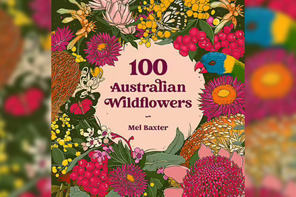 Article image for Author & Illustrator captures Australia’s flora and fauna In latest book