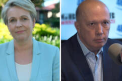 Tanya Plibersek apologises for comparing Peter Dutton to Voldemort