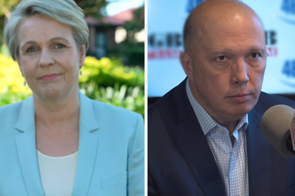 Article image for Tanya Plibersek apologises for comparing Peter Dutton to Voldemort