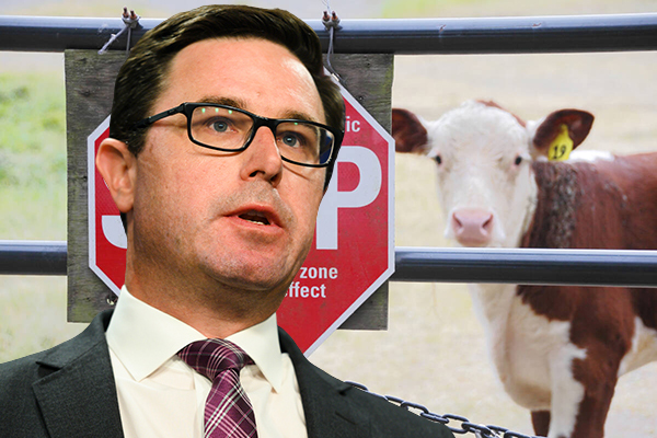 Article image for ‘Show some courage’: Nationals Leader says biosecurity measures don’t go far enough