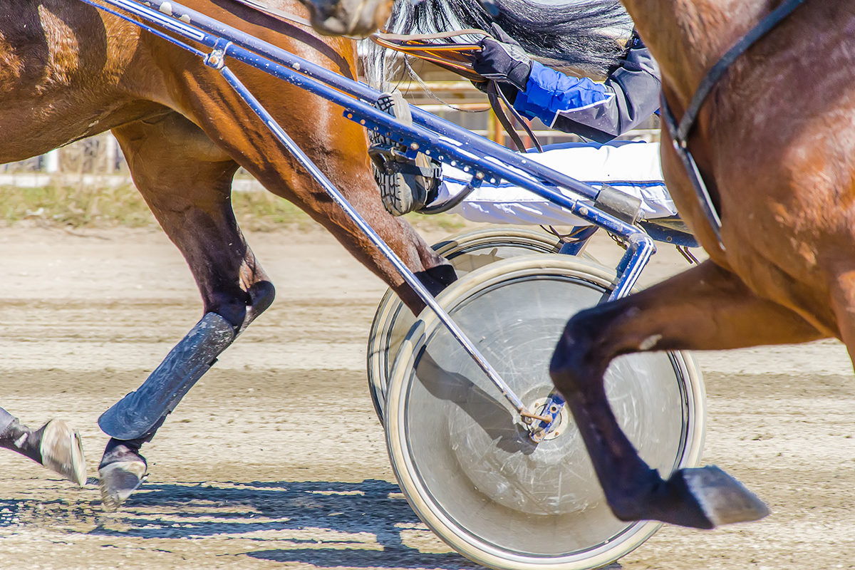 Article image for Brisbane racing official accused of sexually assaulting two women named