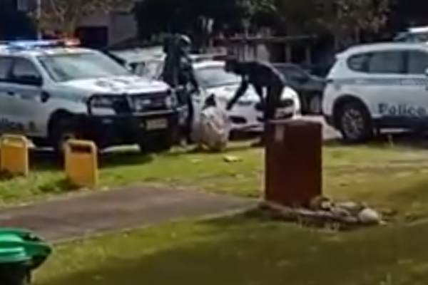 Article image for WATCH | Dramatic police operation at Condell Park