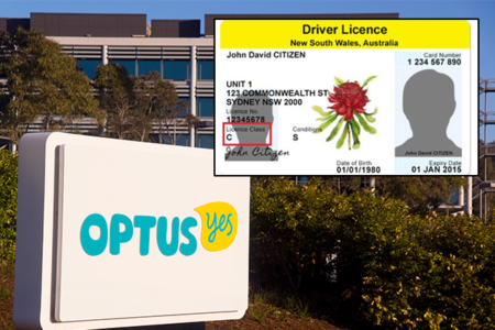 Minister implores Optus to ‘get a move on’ as customers struggle to replace licences