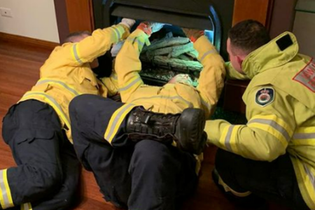 Lucky duck! RFS save a duck stuck in a chimney