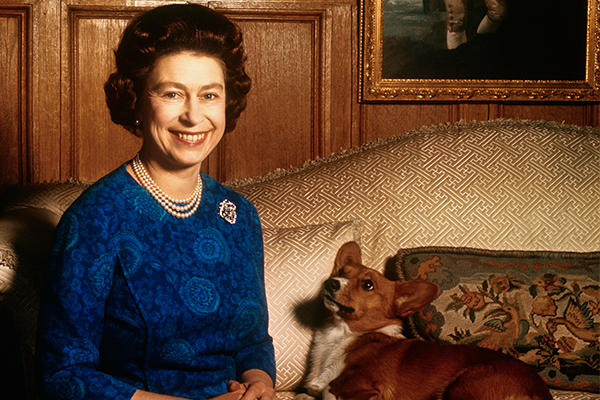 Article image for Why corgis? The Queen’s love of the breed explained