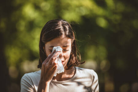 New treatment for hayfever  sufferers