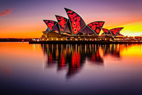 Article image for Opera House lit up in honour of Remembrance Day
