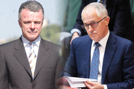 Dr Brendan Nelson reveals moment Malcolm Turnbull ‘bullied’ him