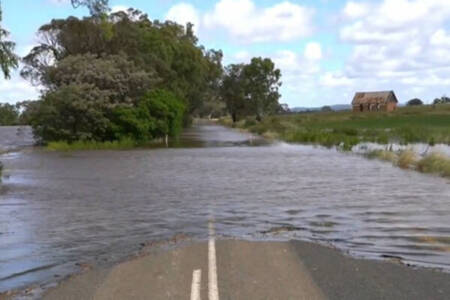 Eugowra resident recounts severe flooding situation