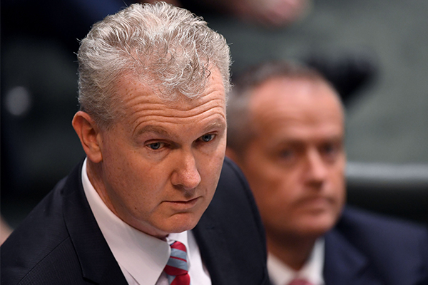 Article image for ‘Every business needs customers’: Tony Burke defends minimum wage rise