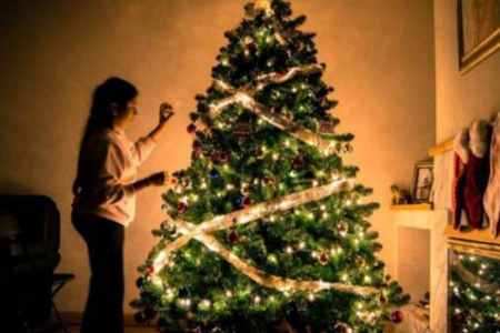 NSW experiences Christmas tree shortage after months of wet weather