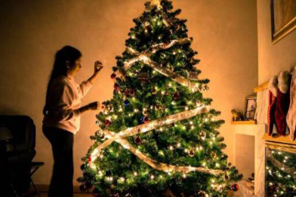 Article image for NSW experiences Christmas tree shortage after months of wet weather