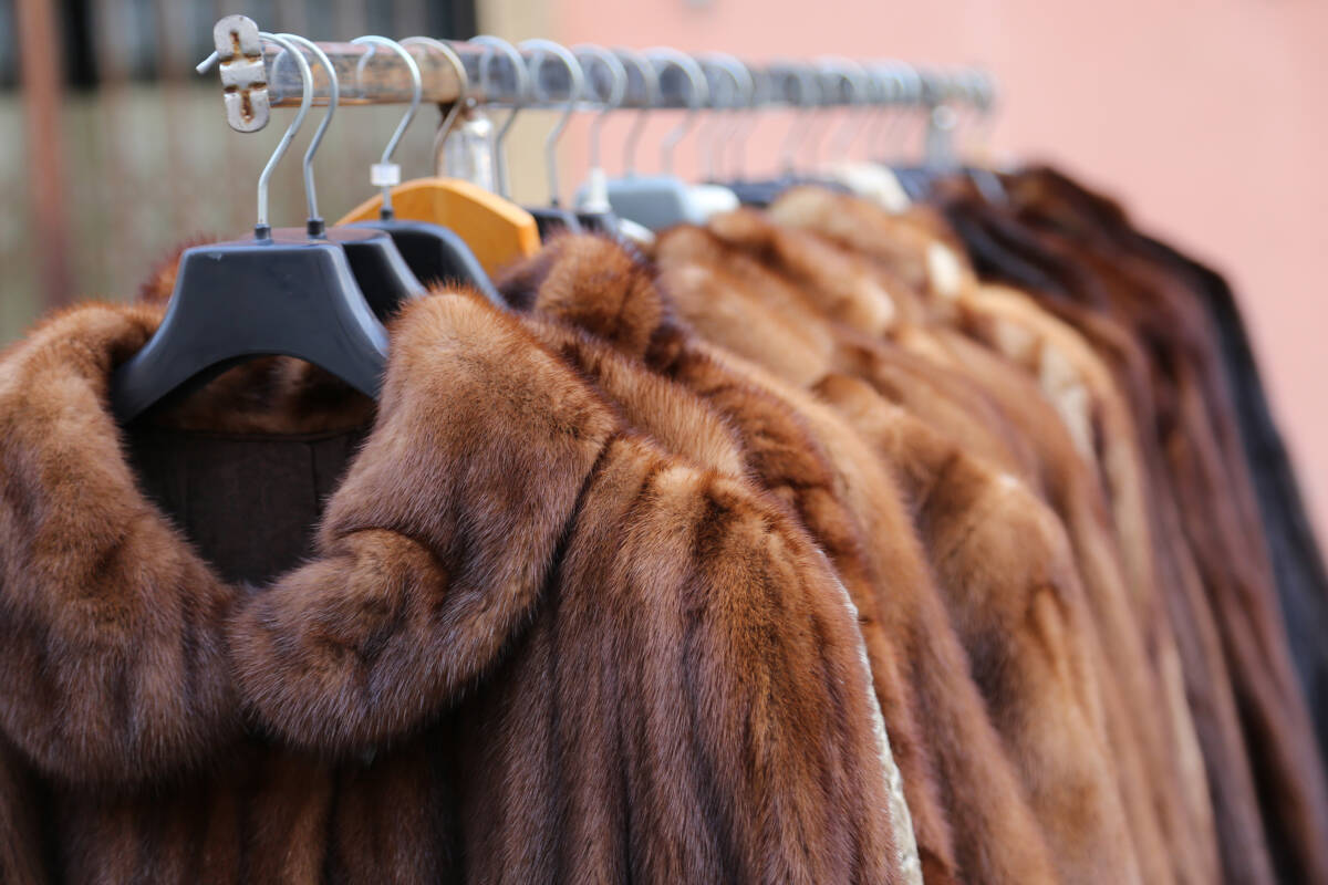 Article image for North Sydney council proposes ban on leather and fur