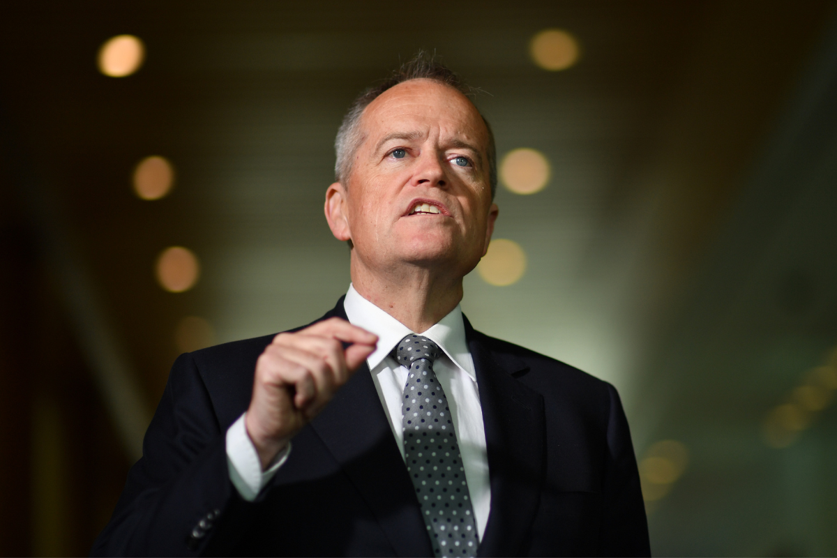 Article image for Bill Shorten’s warning to scammers amid $3.3m NDIS fraud charge