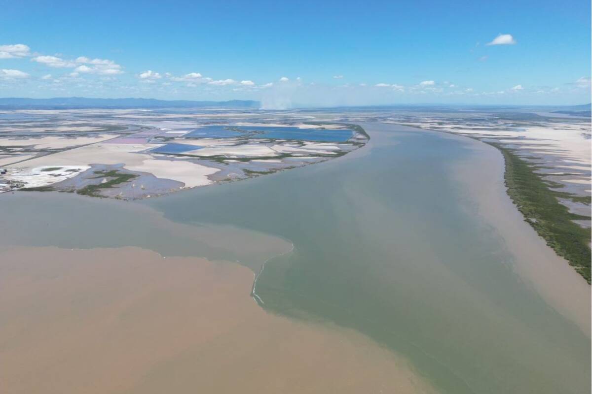 Article image for Why the CSIRO is launching a life-saving new water monitoring system