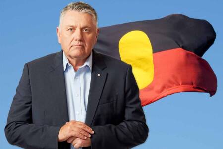 Ray Hadley: Key point on Voice ‘initial action list’ is ‘already happening’