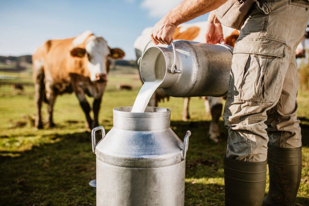 farm fresh milk business plan