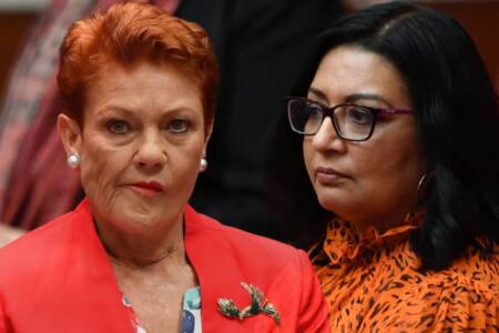 ‘Go to anti-racism training!’: Pauline Hanson sued over tweet