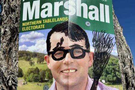 Up for auction: Pollie’s vandalised corflutes could be yours