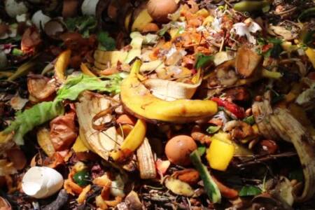‘Wasting while worrying’ – Food waste costing Aussies billions amid cost-of-living crisis
