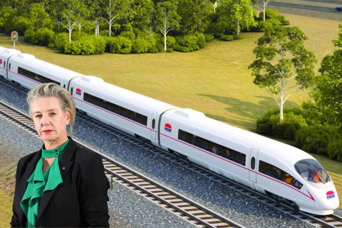 Article image for ‘People aren’t stupid’: Shadow Minister questions high-speed rail funds