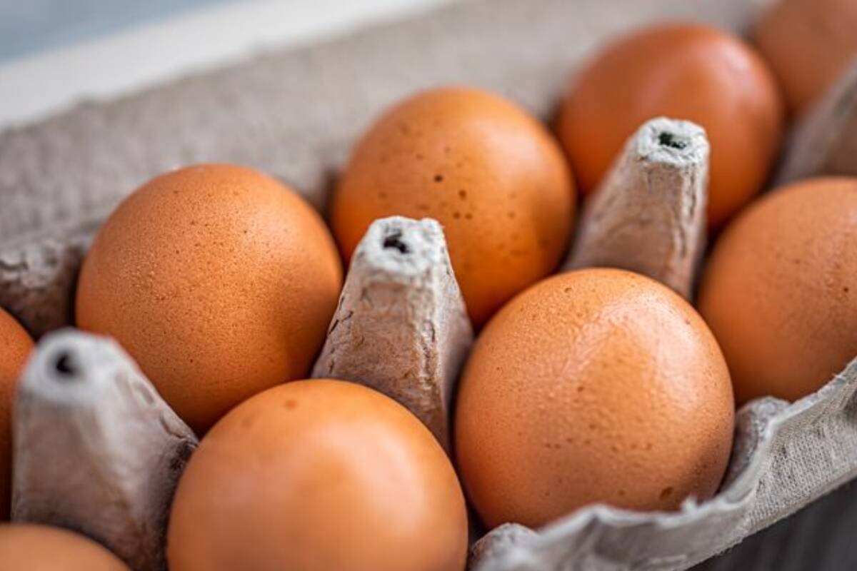 Article image for ‘The old fashioned way’: Premier denies support for caged egg ban