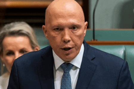 ‘Outrageous Claims’: Senator Van breaks silence as Peter Dutton steps in