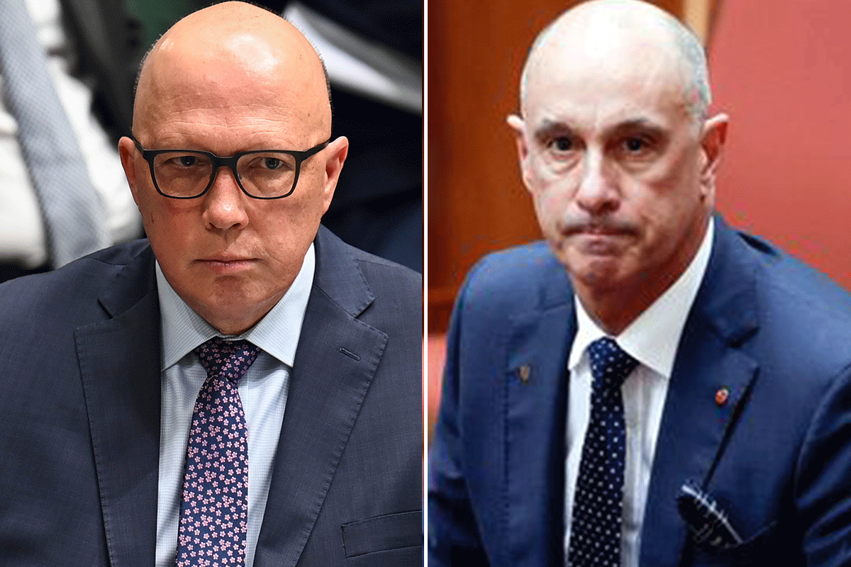 Article image for ‘Great Concern’: Dutton calls for Senator to resign amid sexual assault claims