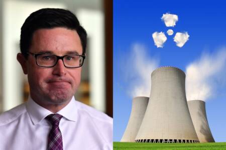 ‘Let the market decide!’: Call to reverse Australia’s nuclear ban