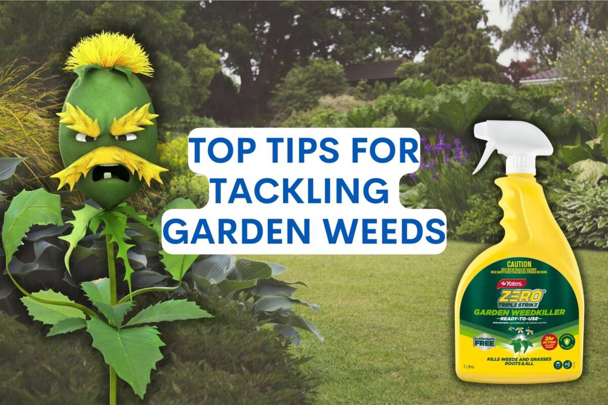 Article image for Here’s the best tips for tackling garden weeds in Sydney as spring hits